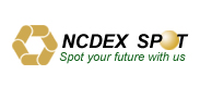 ncdx-spot